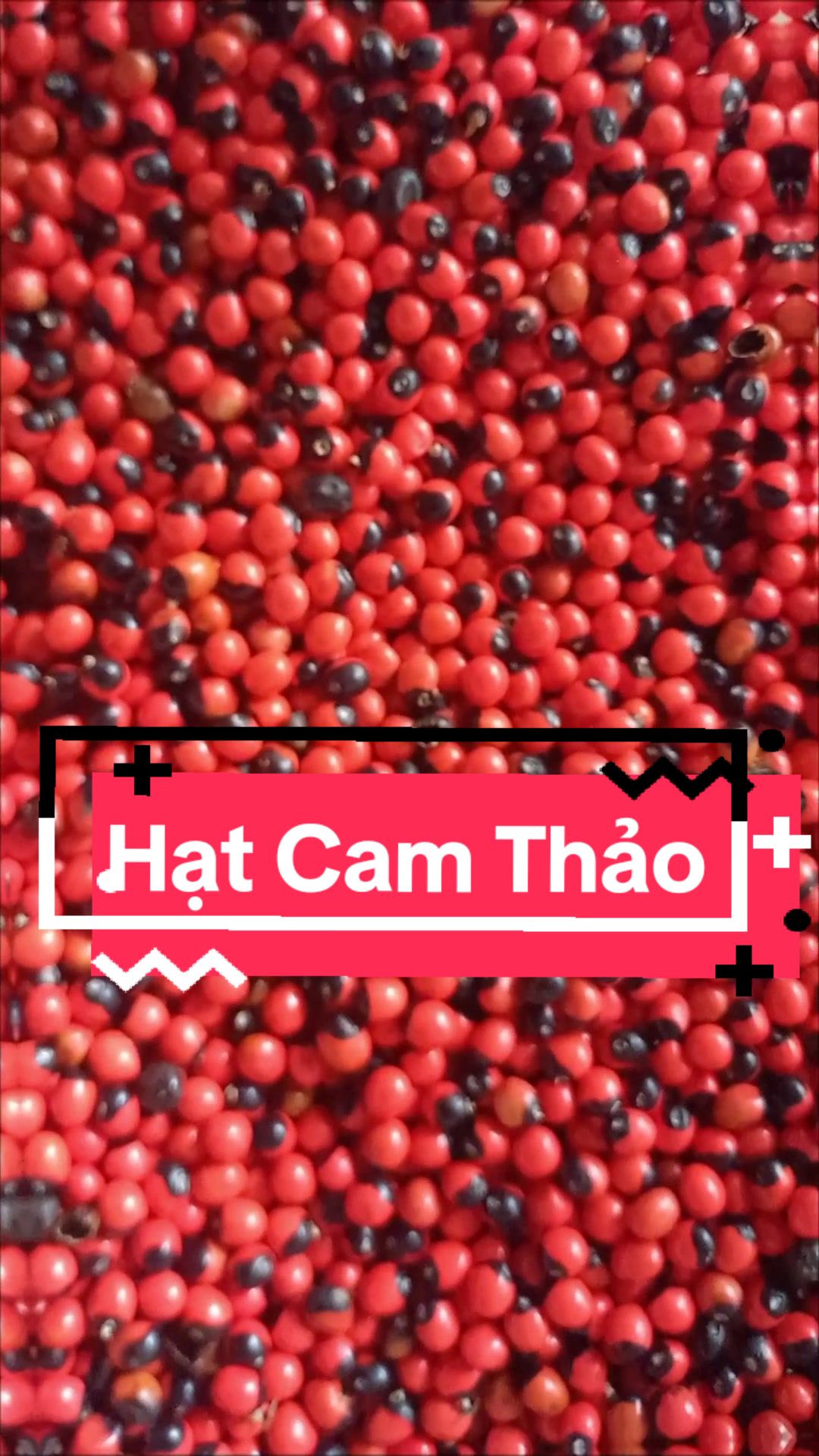 @B&Aacute;CH VỊ PHƯƠNG NAM