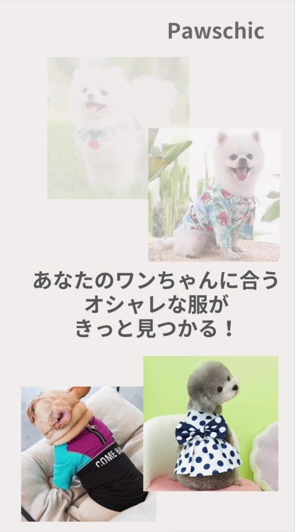 @1500円均一の犬服SHOP Pawschic パウスチック