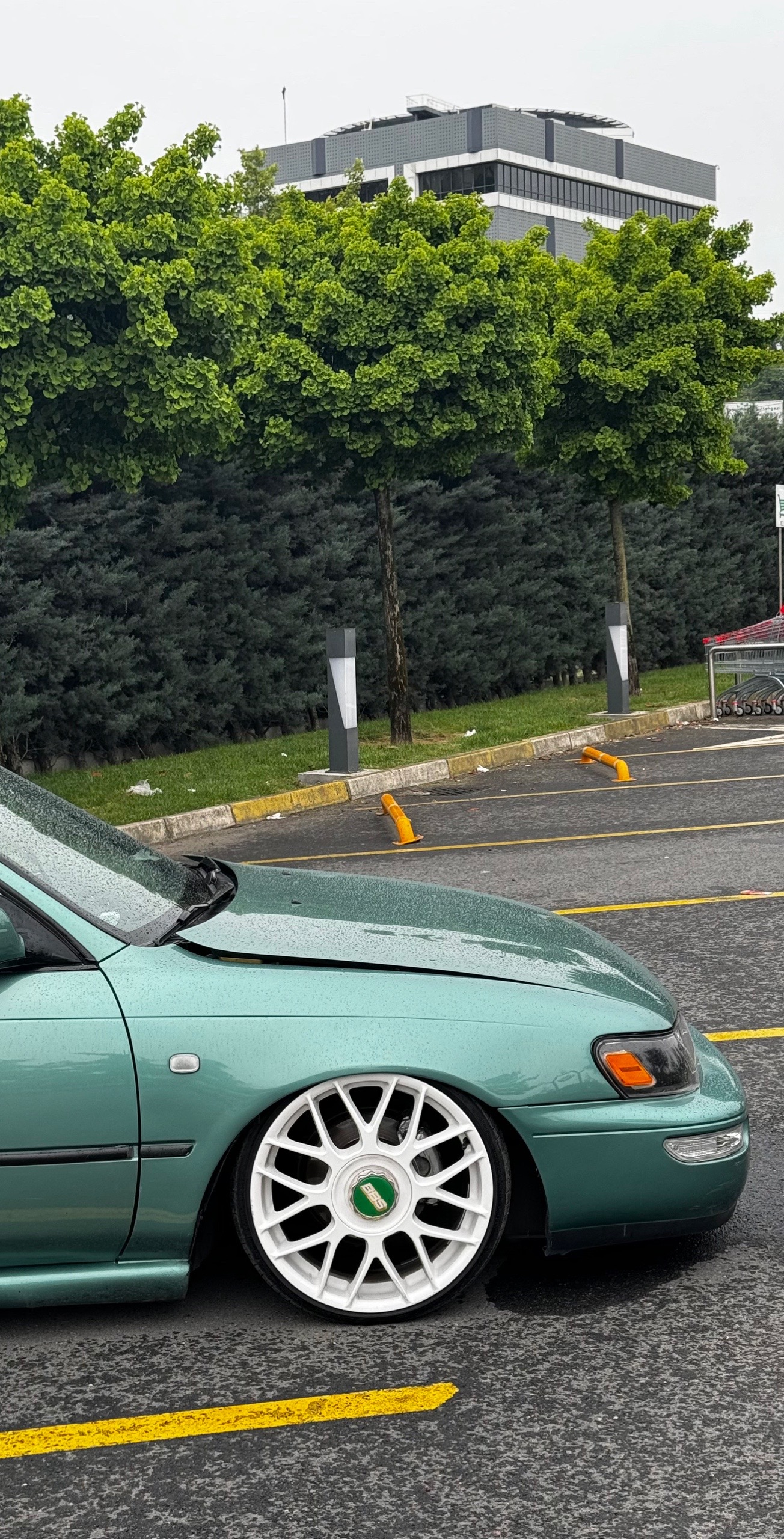 @Şafak 1.6 GT