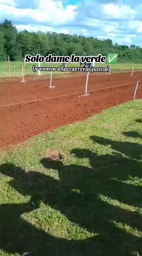@Pereira Araceli🧉