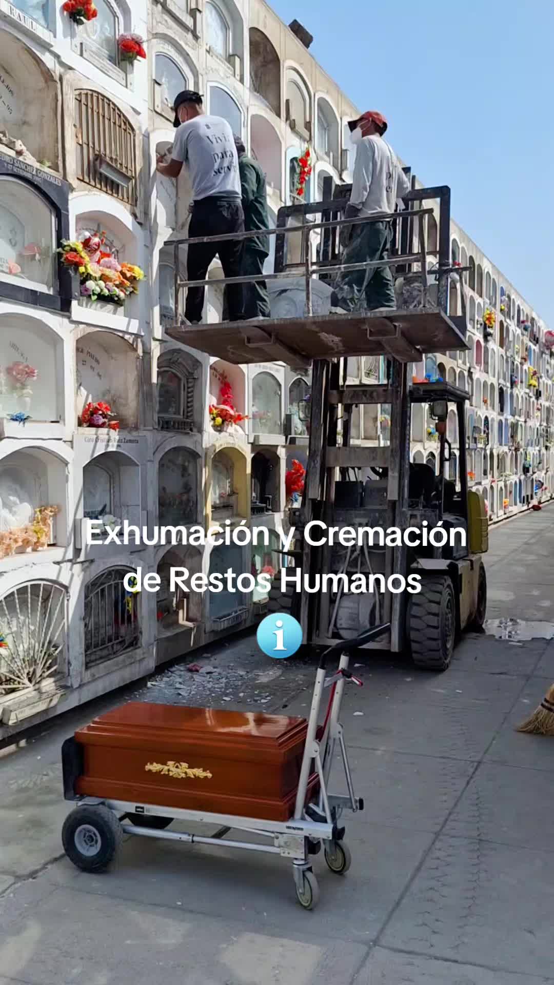 @Vida Perpetua Per&uacute;