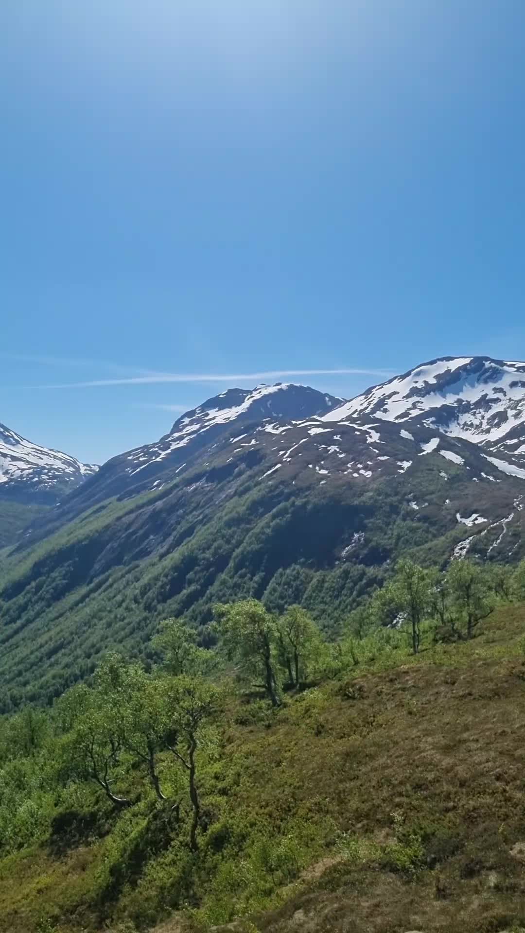 @PM💚