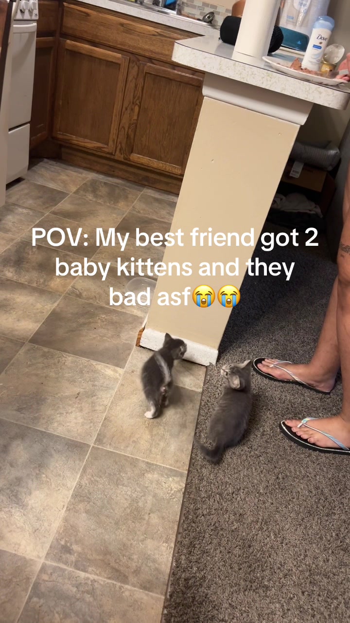 @Kkk_12333