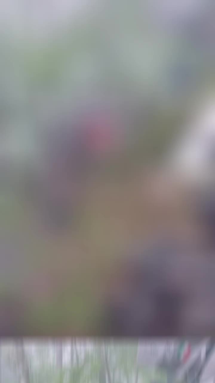 @qasimali8776