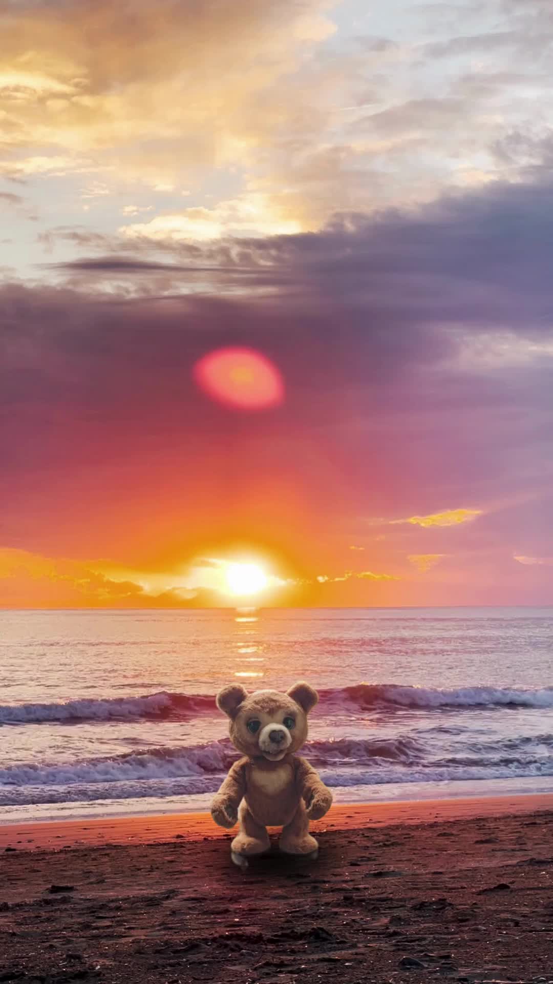 @Bebis Bear