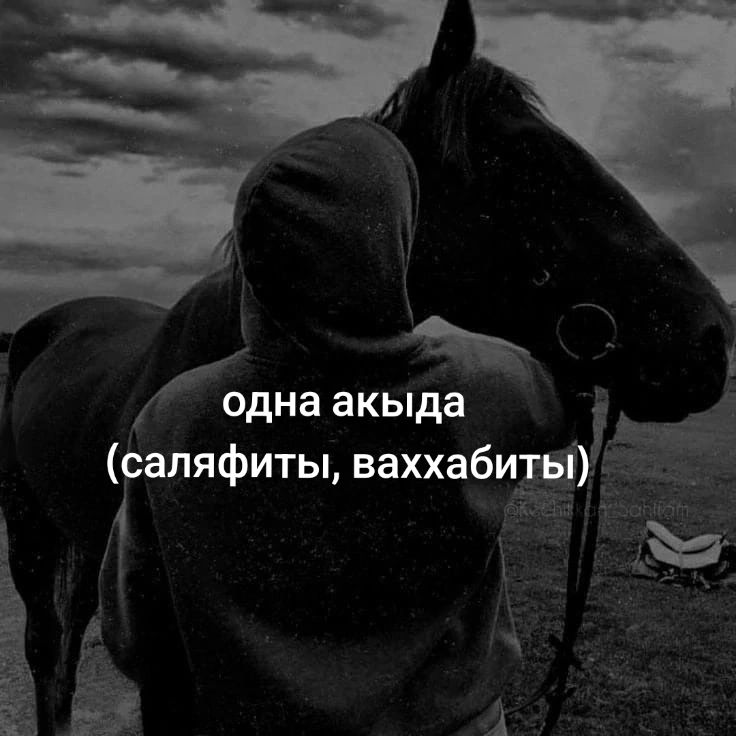 @ASHR/Dobriy85