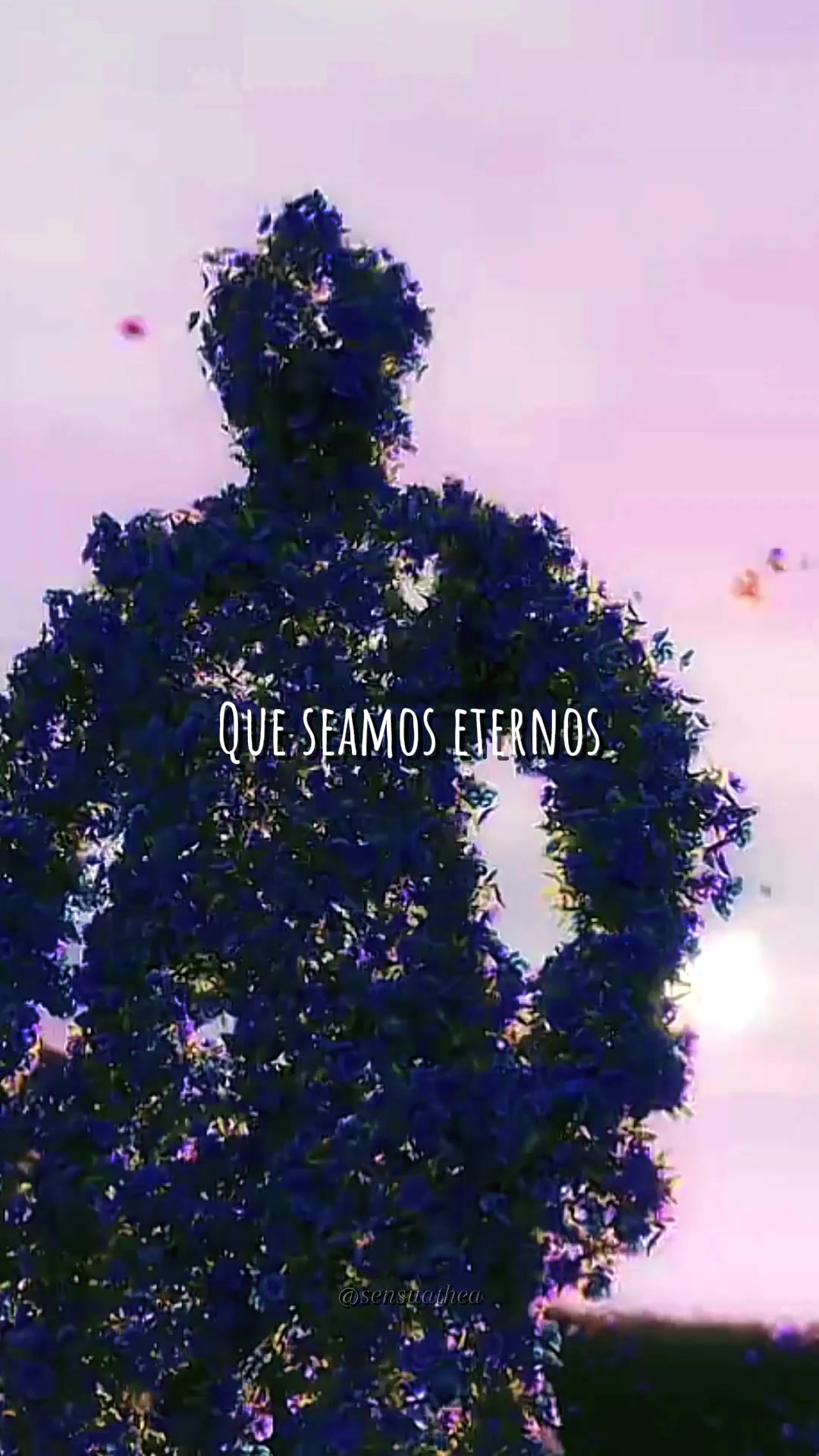 @˖࣪ ׅ   𝑸ueen o𝒇 𝑺eductionㅤ١