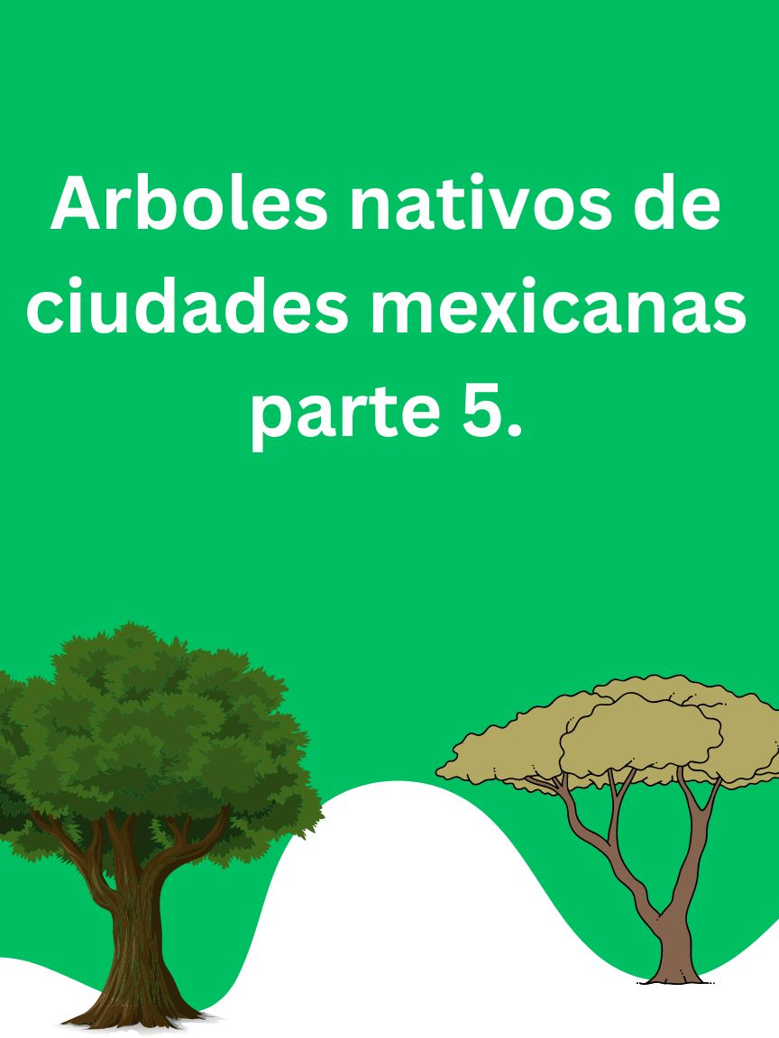 @Ecoversión