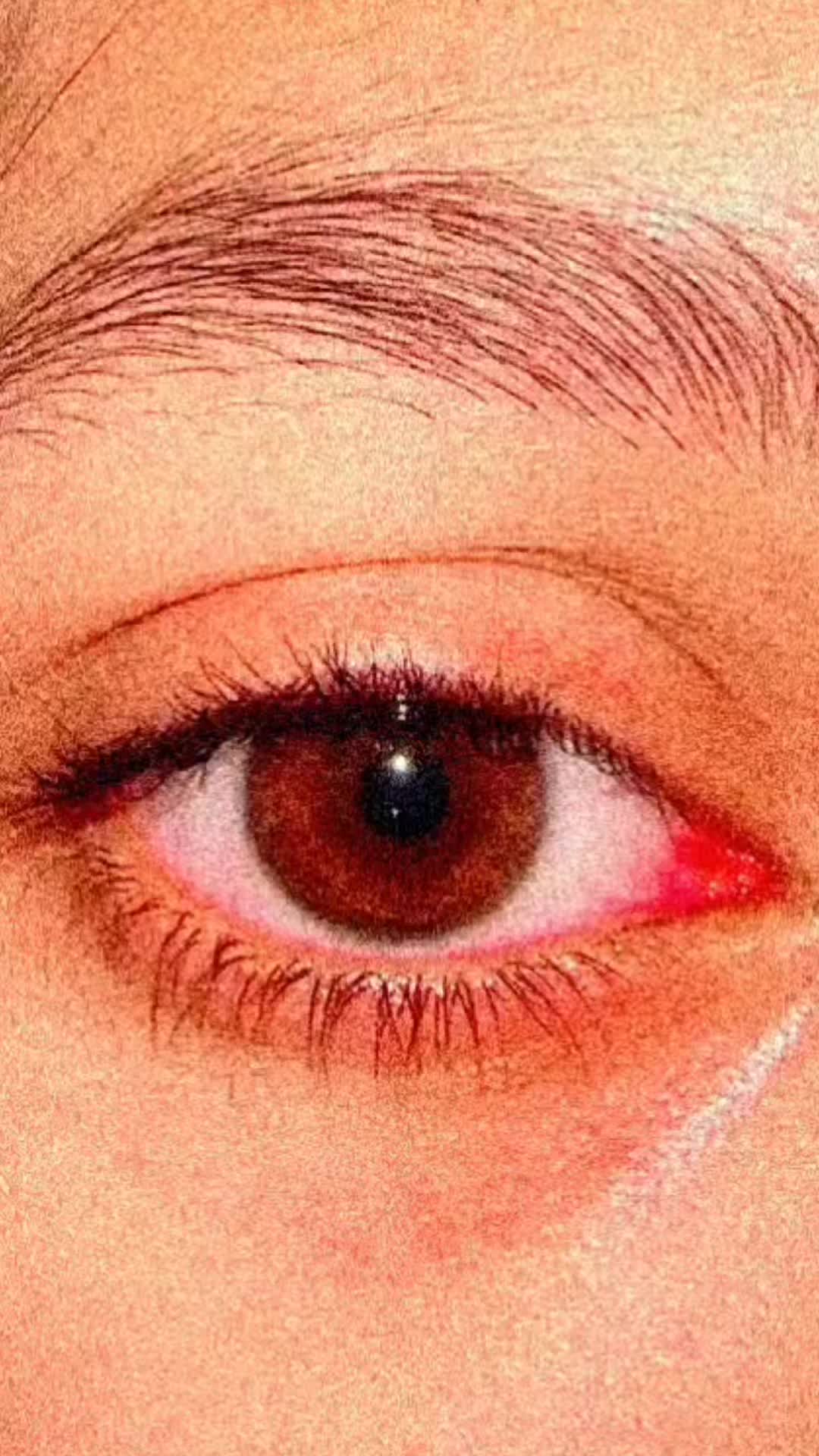 @🕊️تحریم