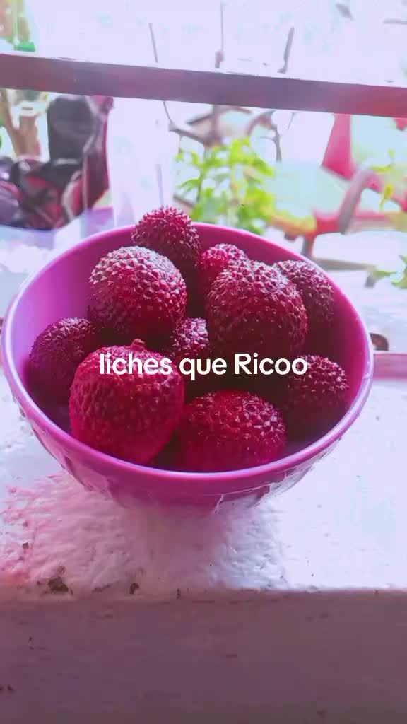 @prinsses.Ramoz