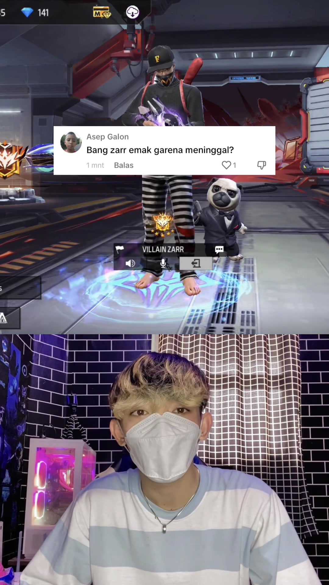 @ZARR