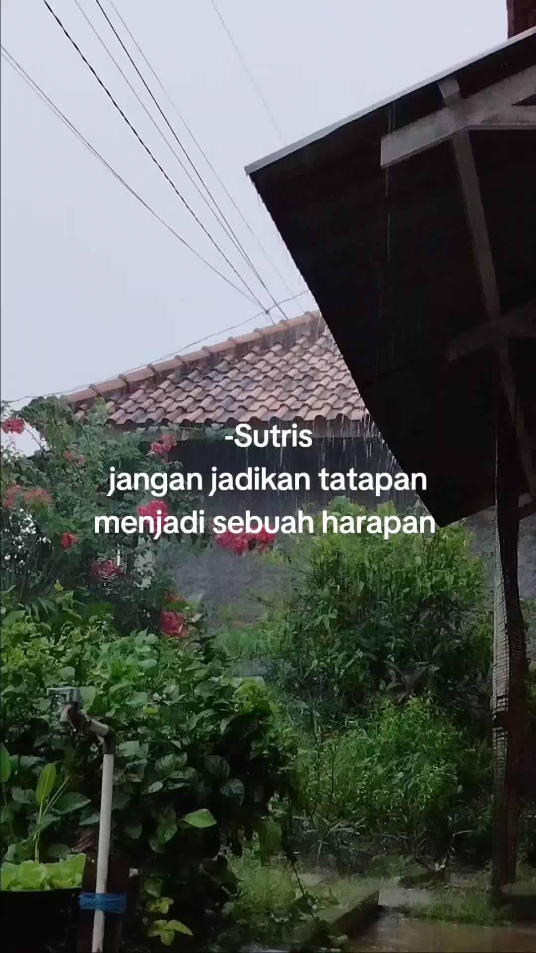 @Yudi⚡