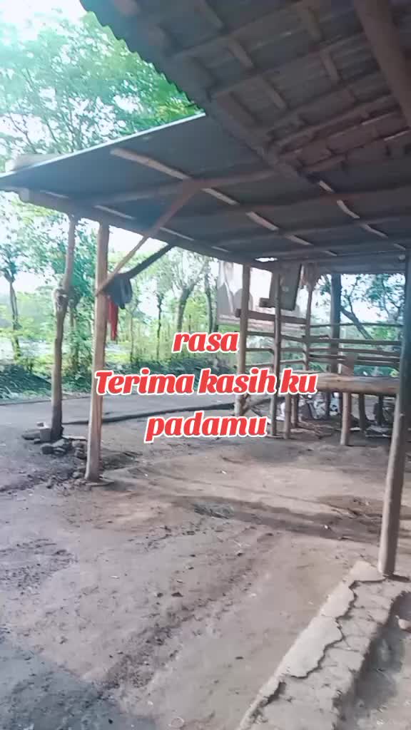 @alimuhsin74