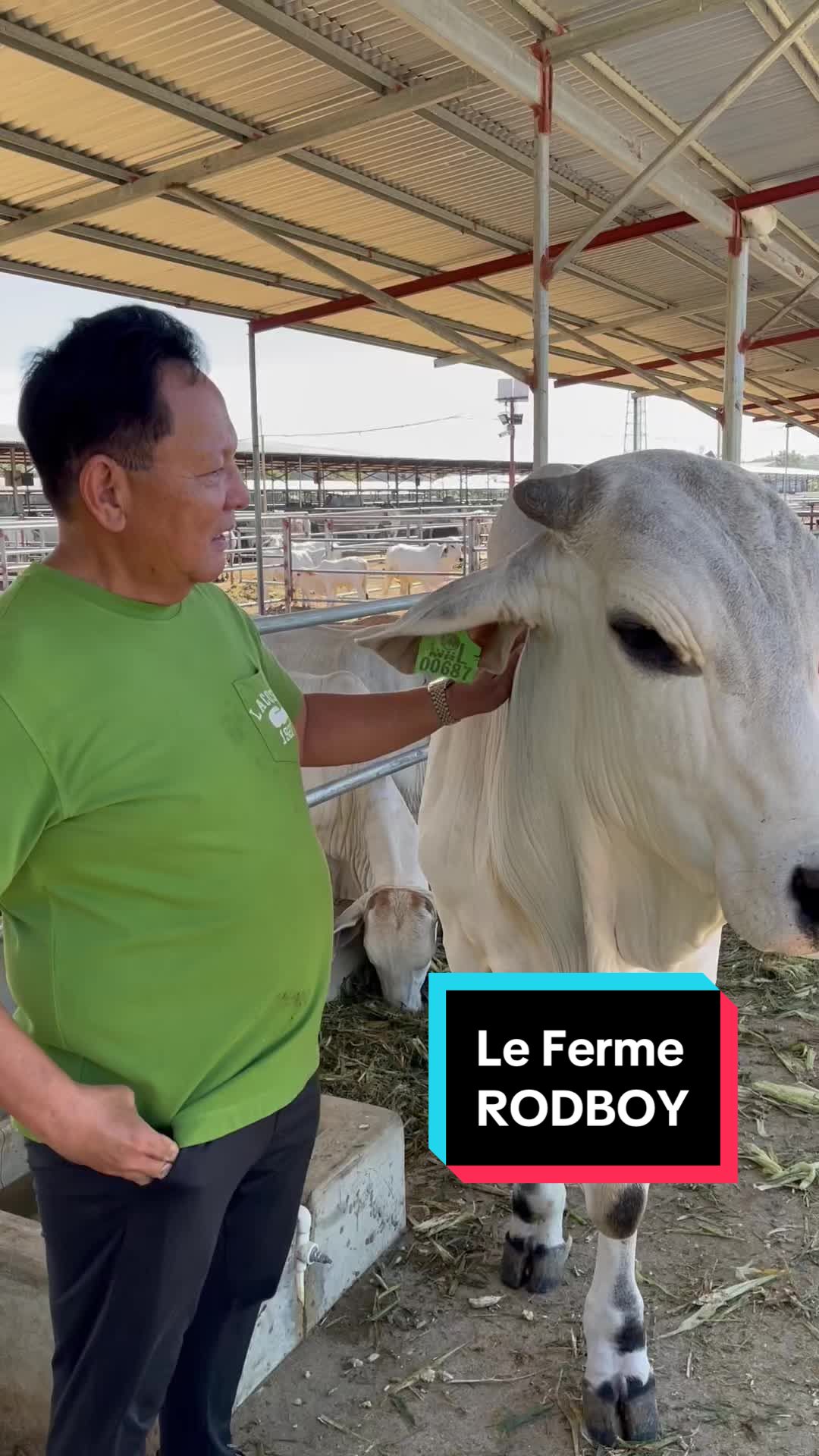 @ATTY. RAUL &ldquo;Kabaka&rdquo; LAMBINO