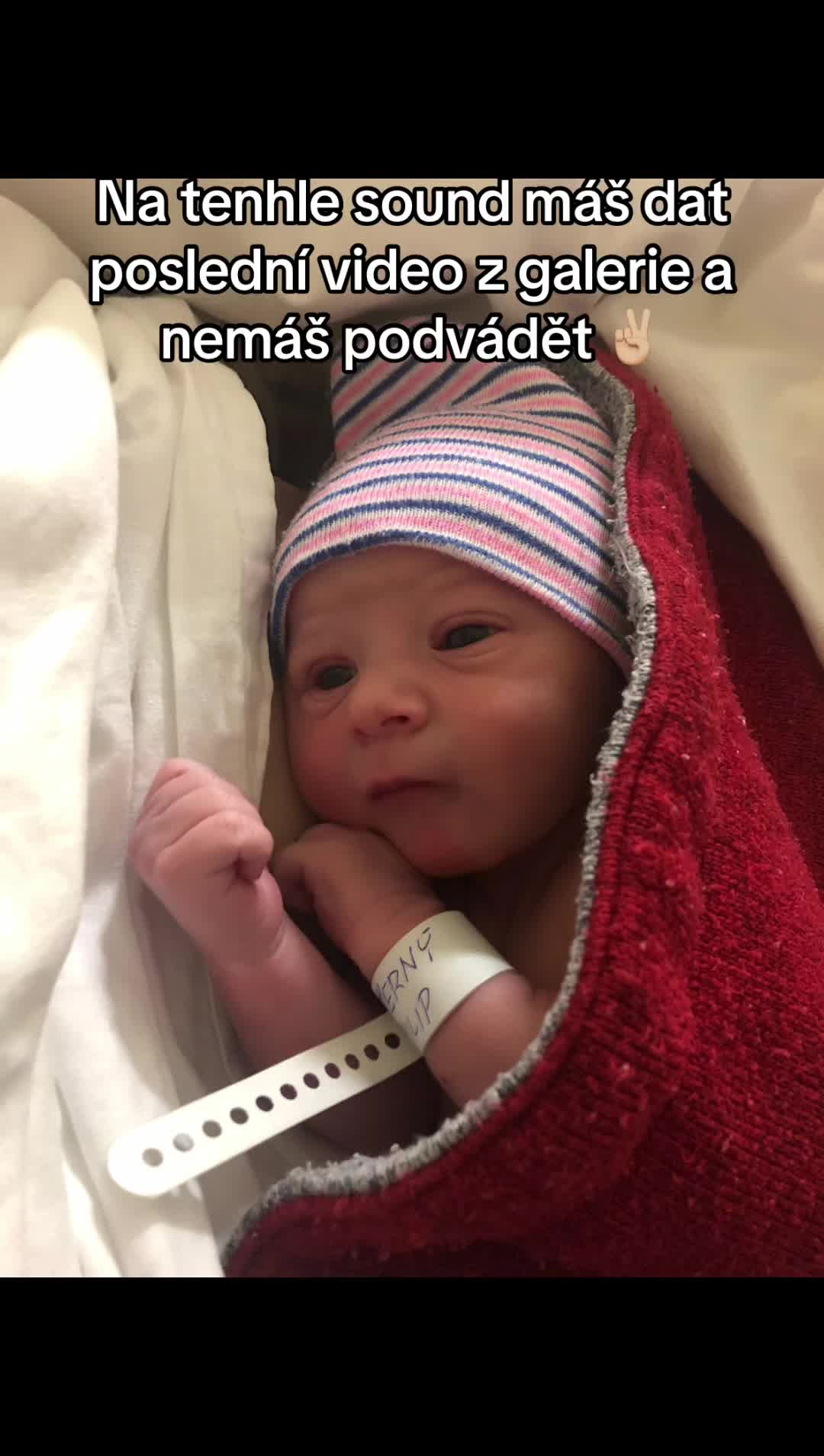 @Pavl&iacute;nka Dvoř&aacute;kov&aacute;