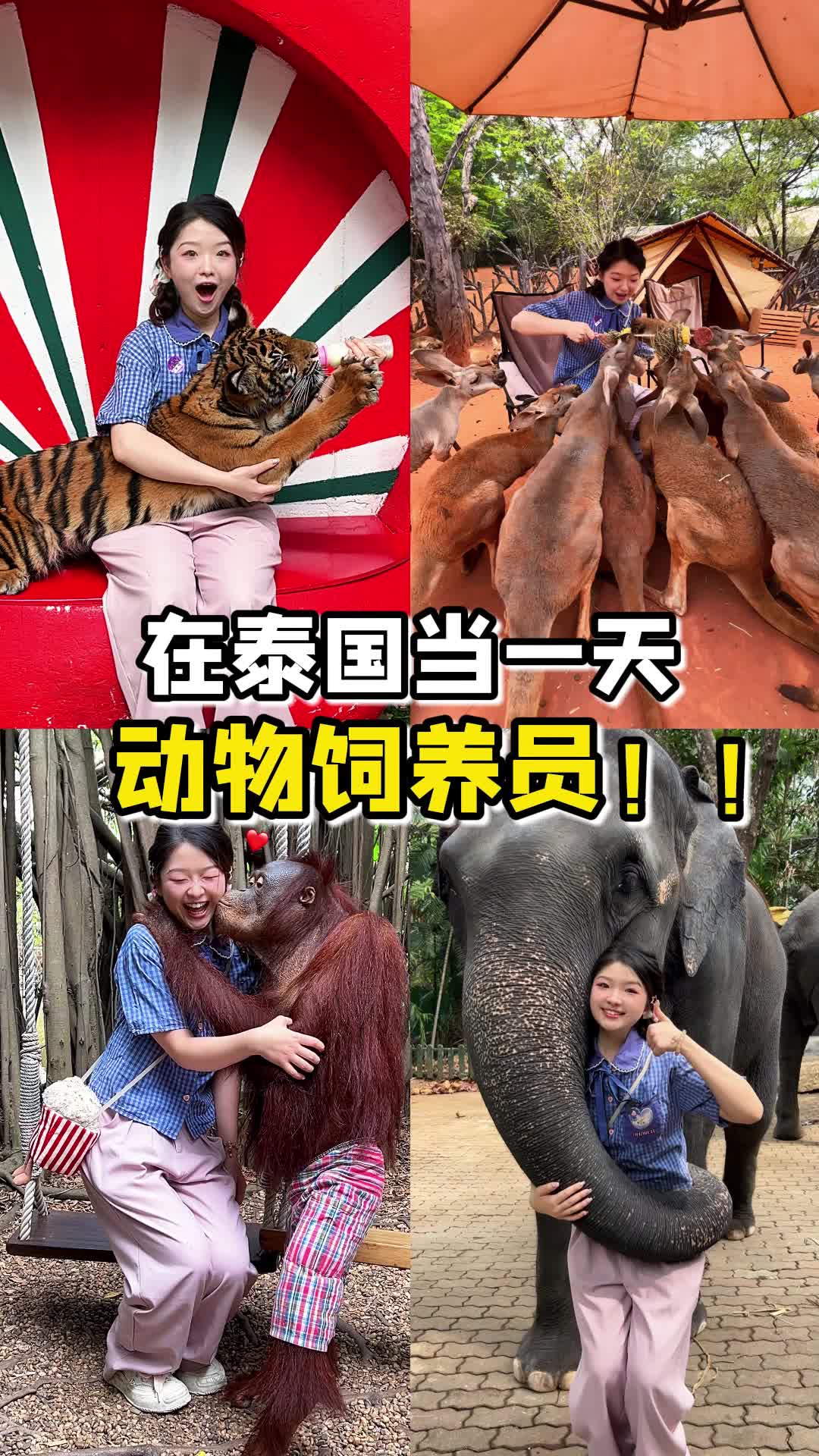 @Yiwanchibaole 一碗吃饱了