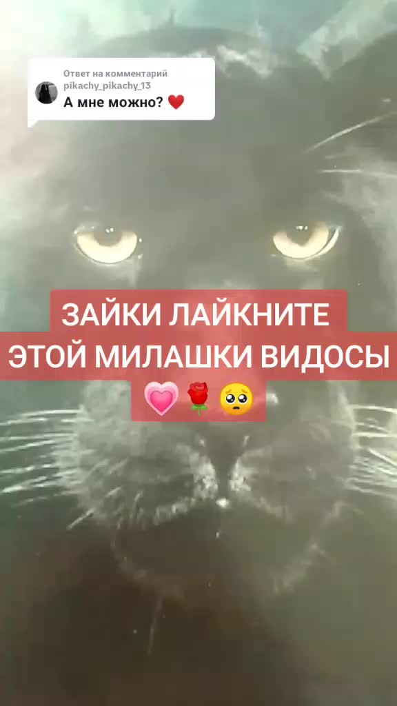 @злюка🔥