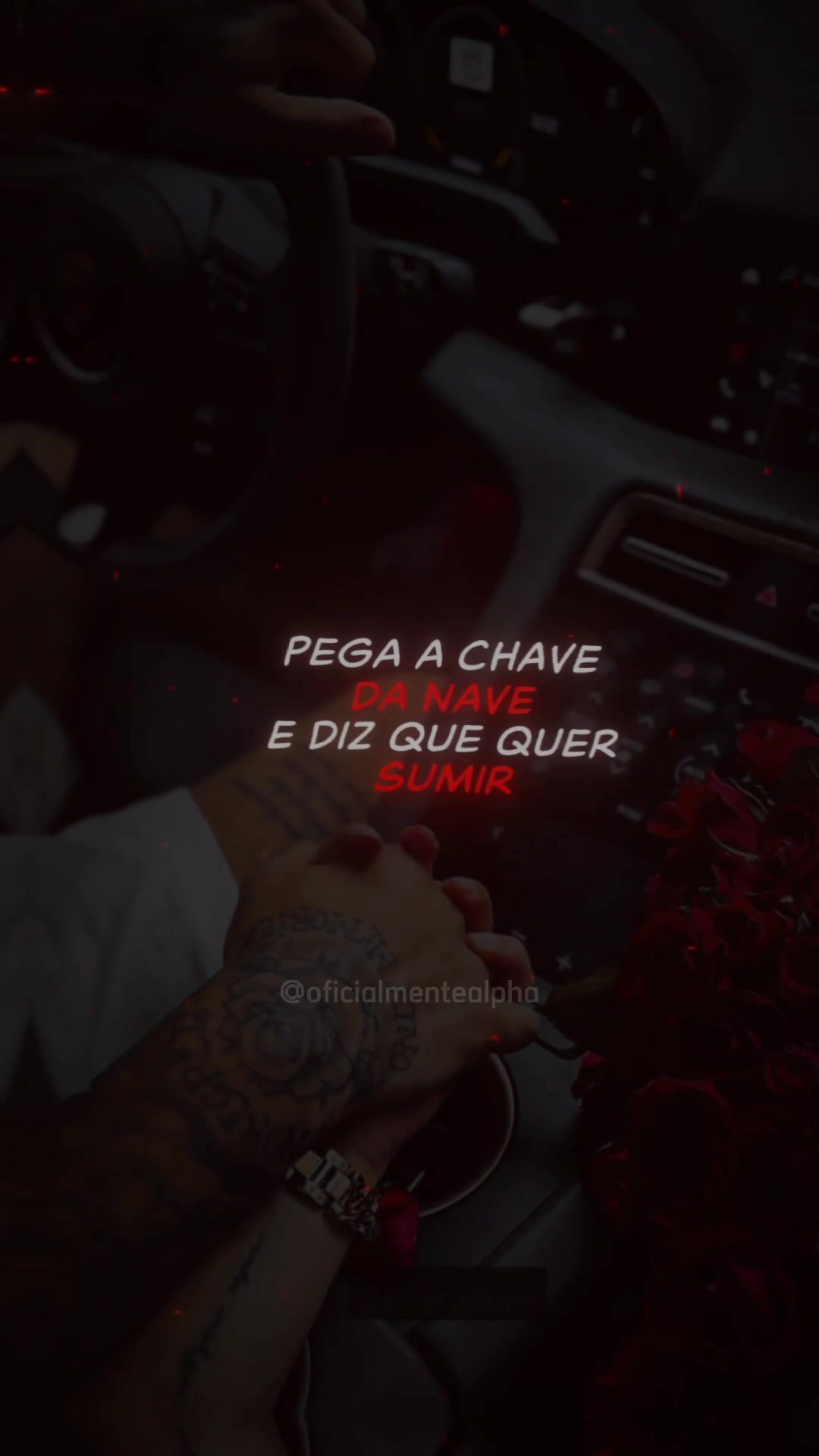 @OFICIALMENTE ALPHA