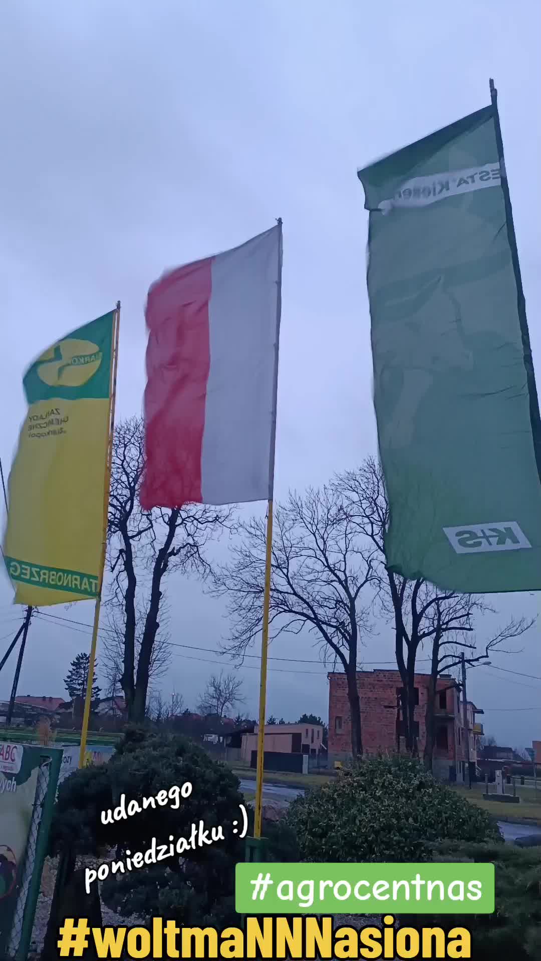 @WOLTMANNNASIONA