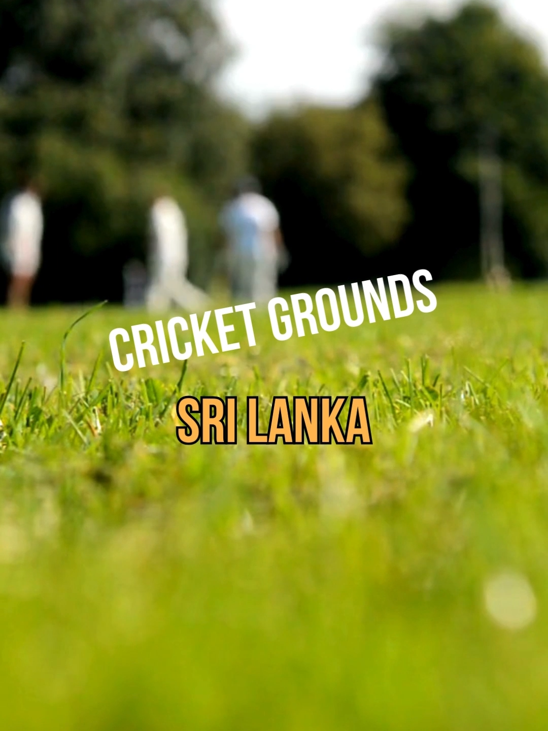 @srilankainbrief