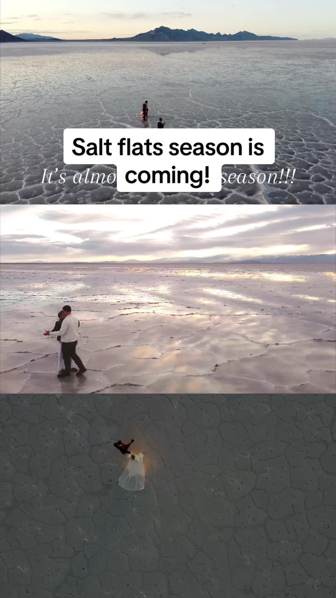 @The Light Seeker