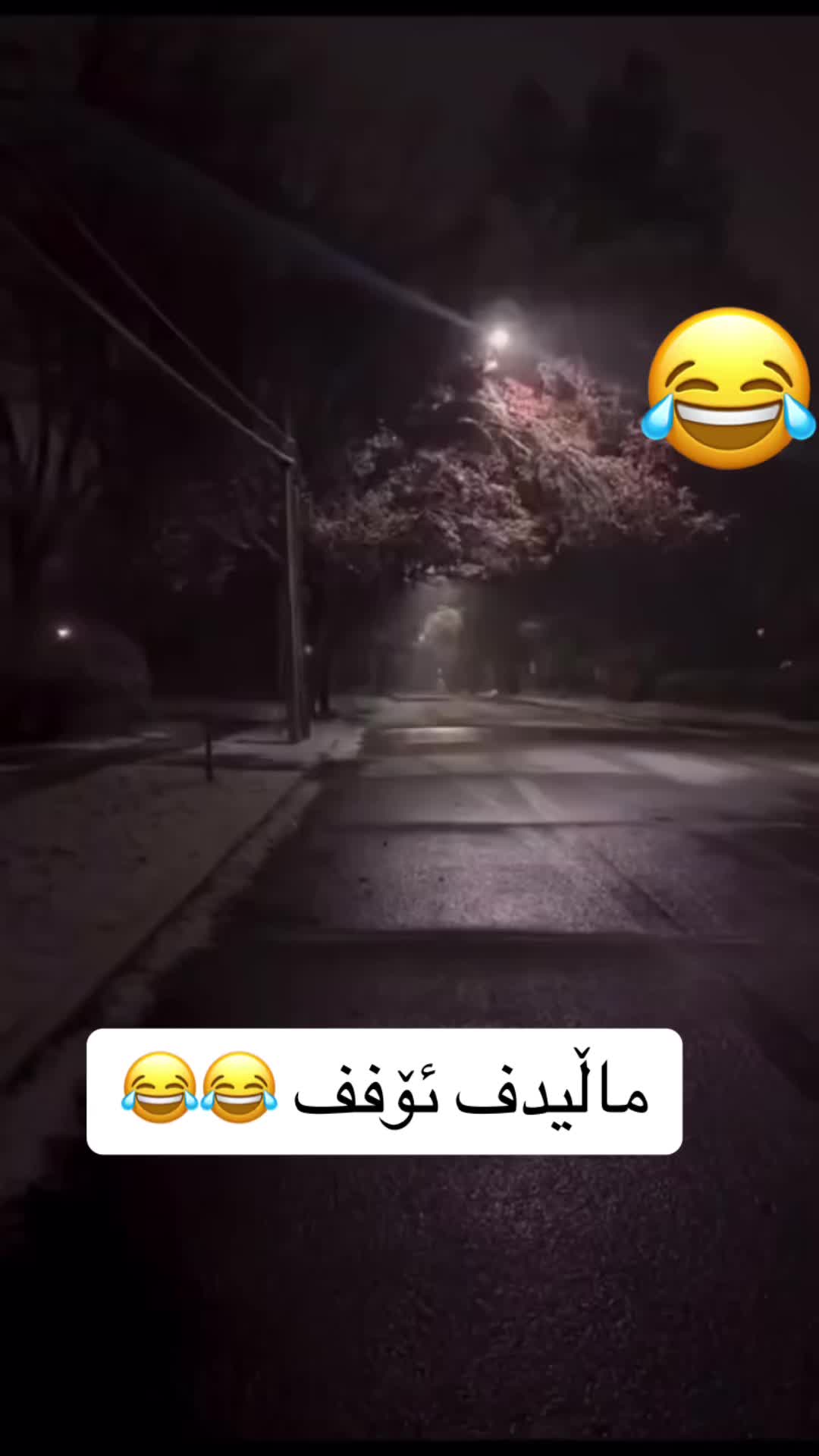 @ssm.kurdish