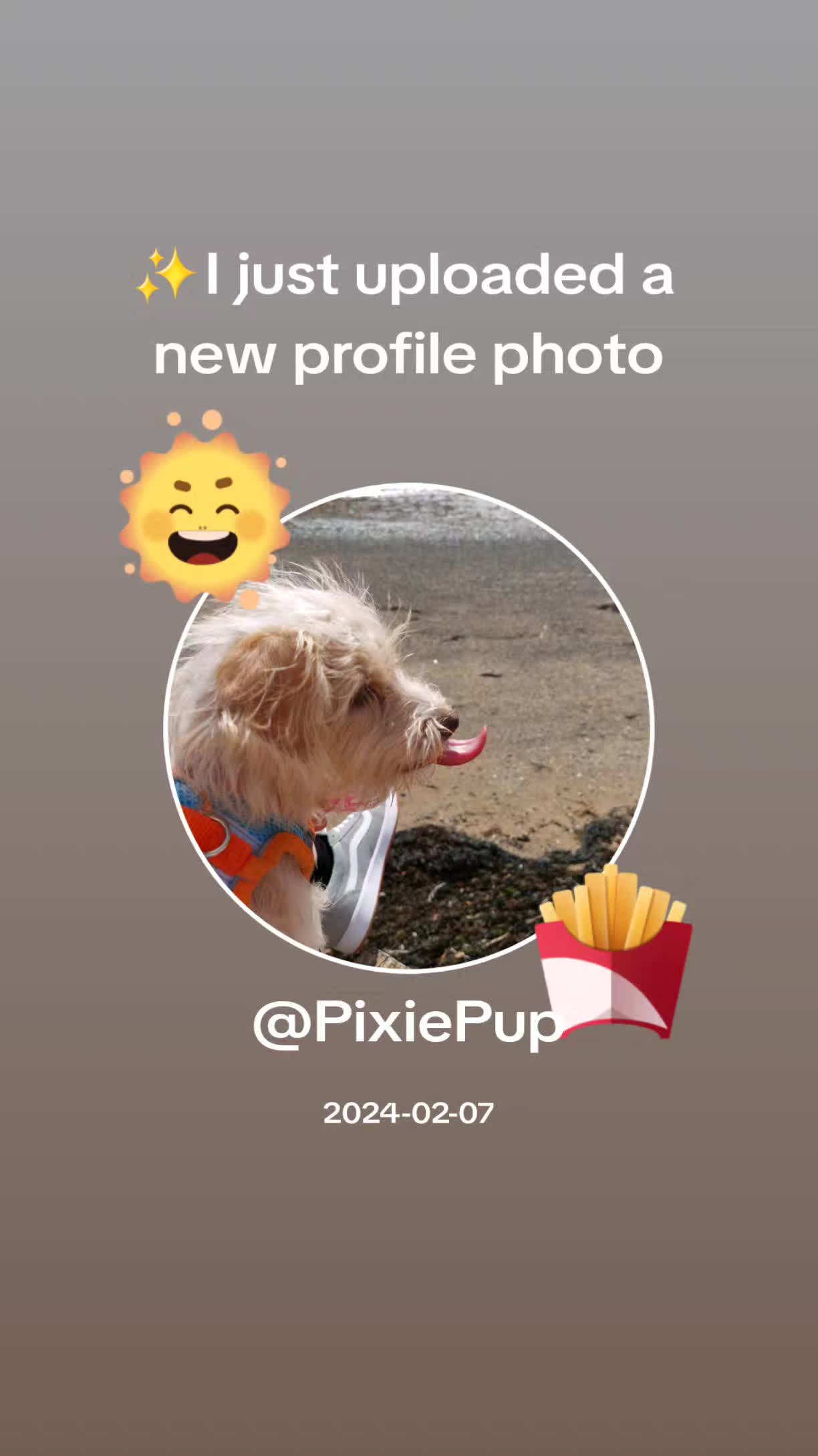 @PixiePup