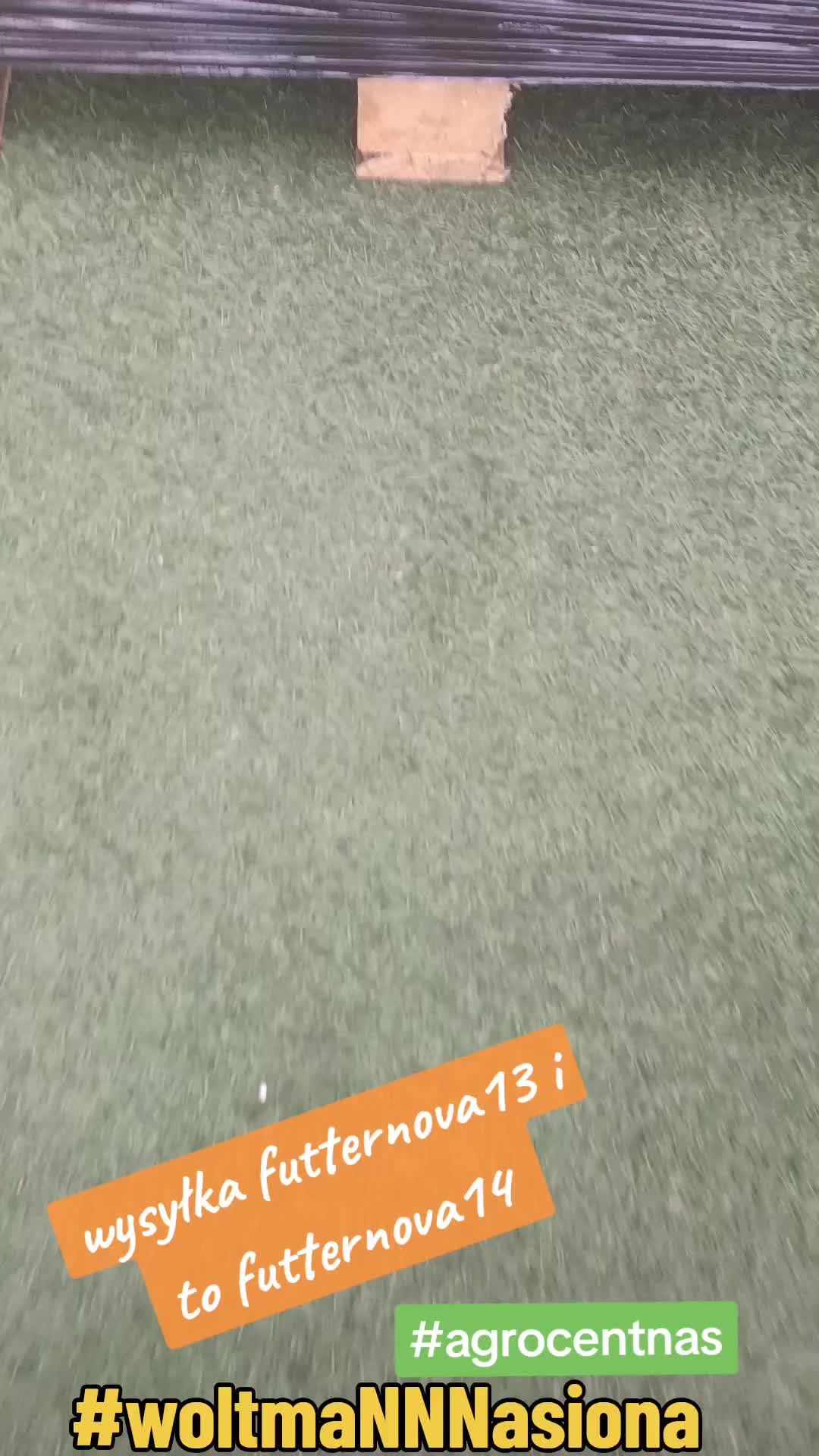 @WOLTMANNNASIONA