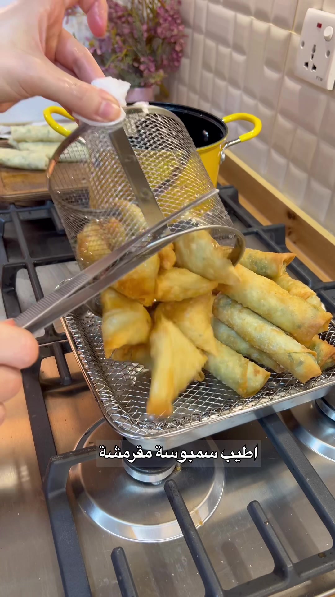 @maha_hatamمها حاتم
