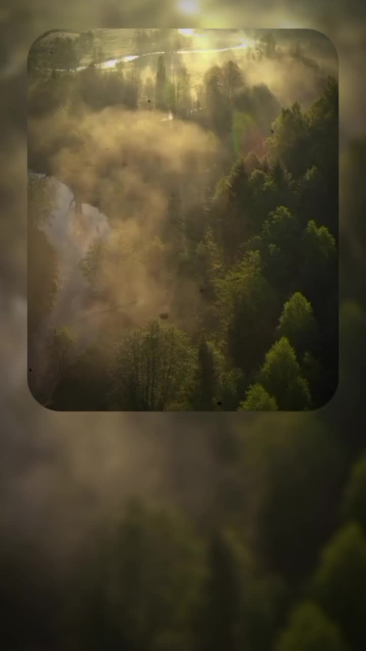 @ረጎነል