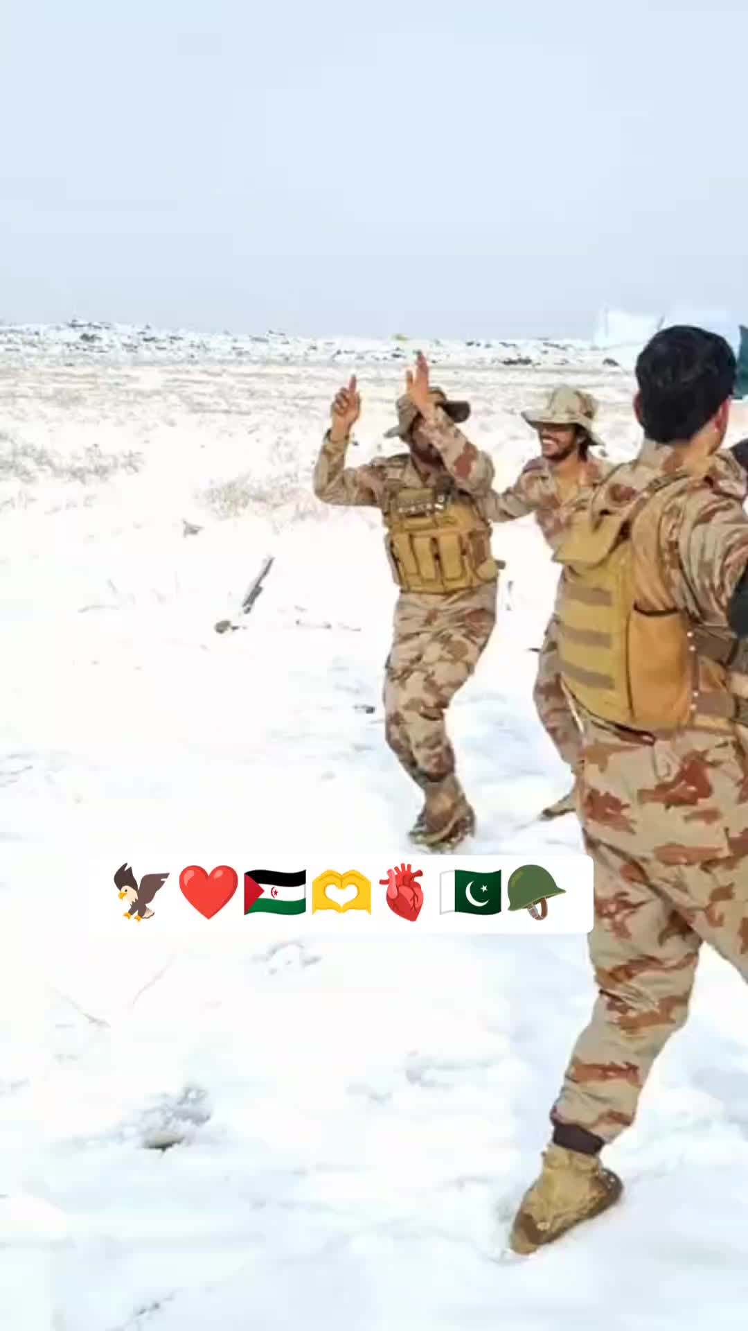 @ذیشان حیدر