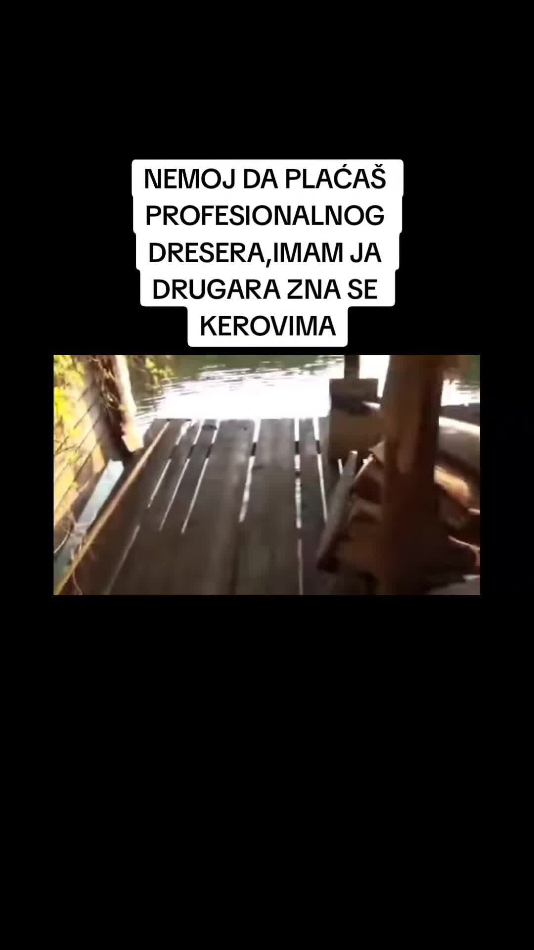 @dr_doktoor