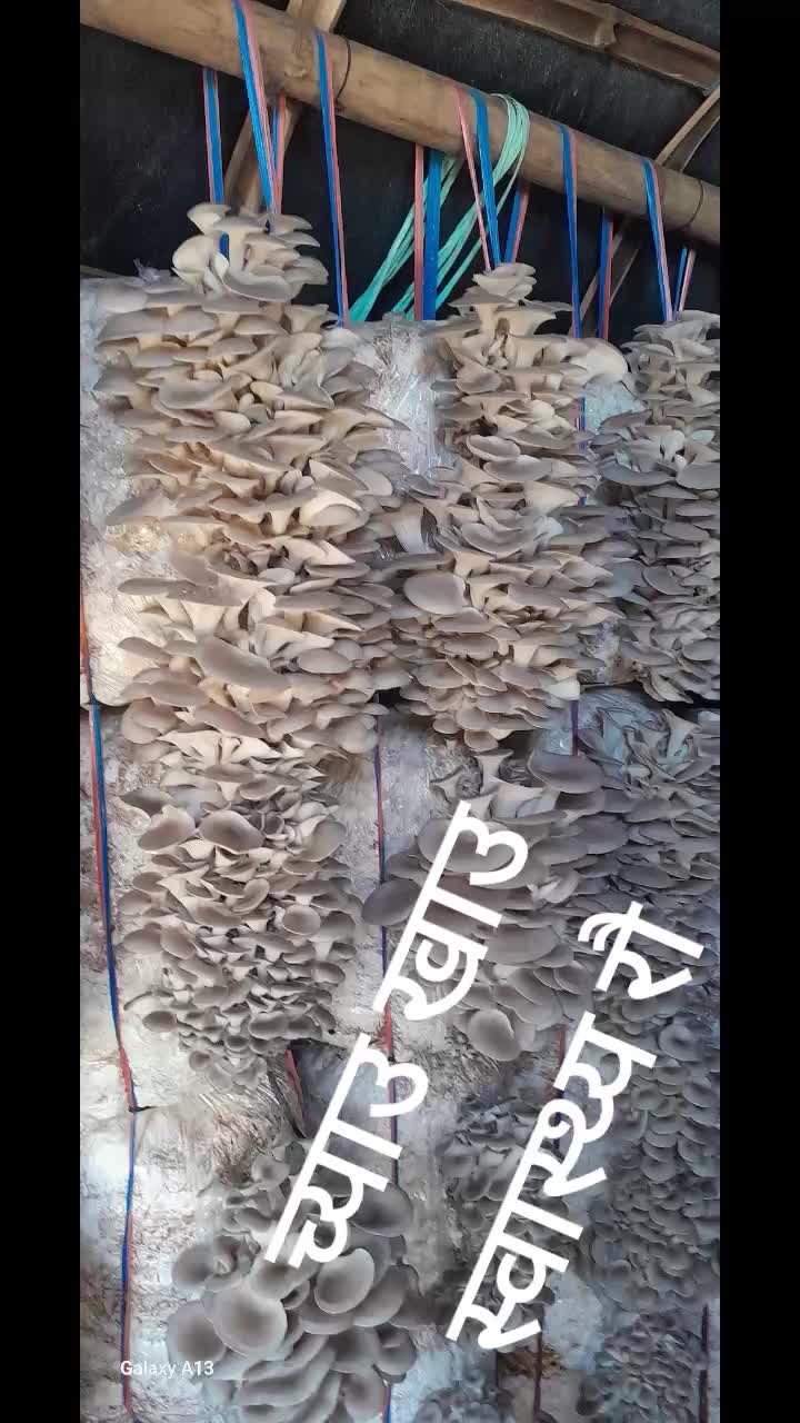 @अमर 🌹❤️❤️❤️ऐडि