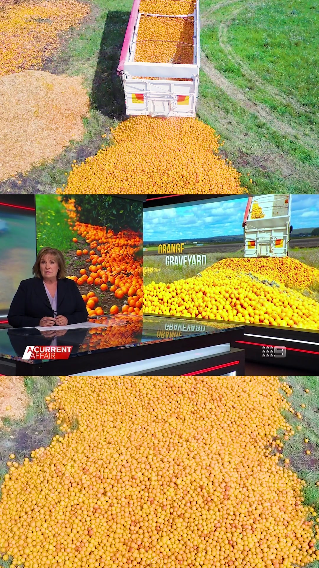 @Farmers Pick
