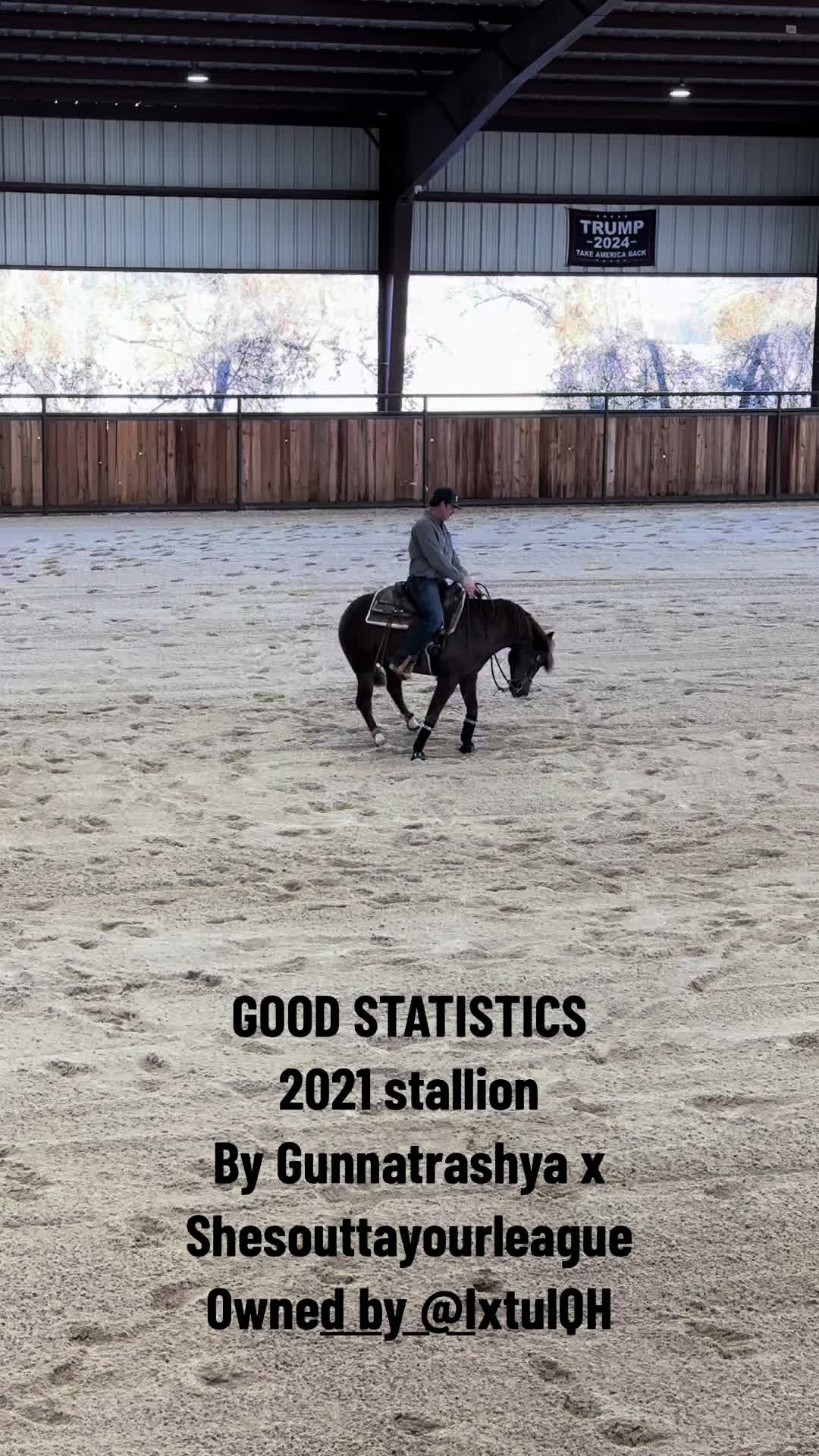 @Larson Performance Horses