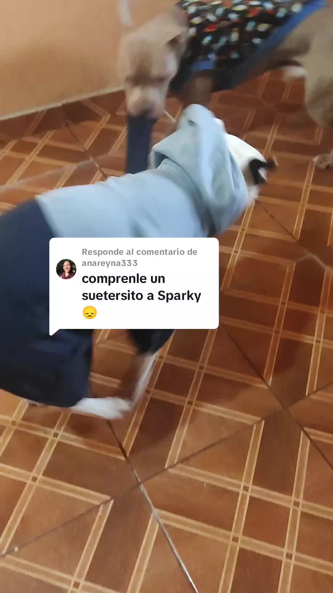 @Severus/Sparky 🐶🐶