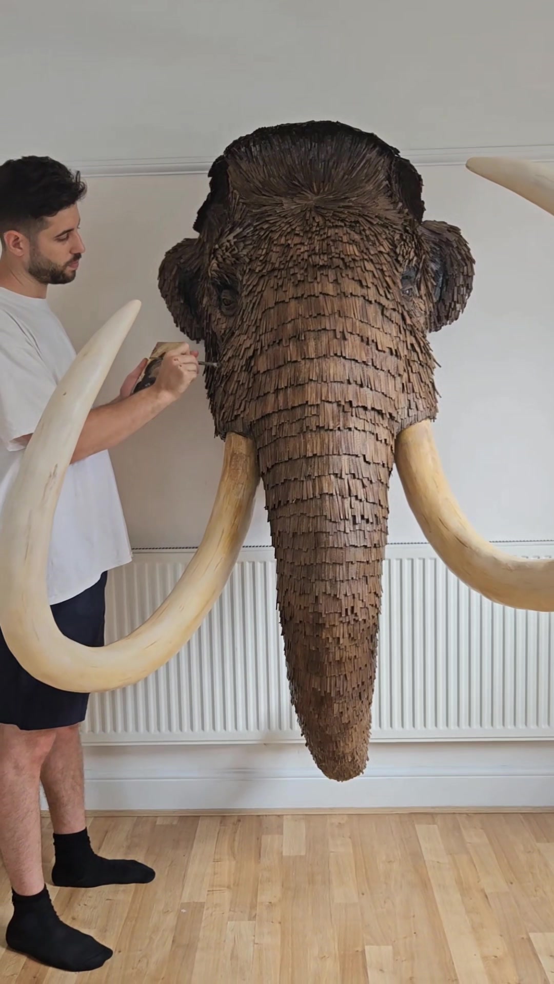 @Josh Gluckstein- Cardboard Art