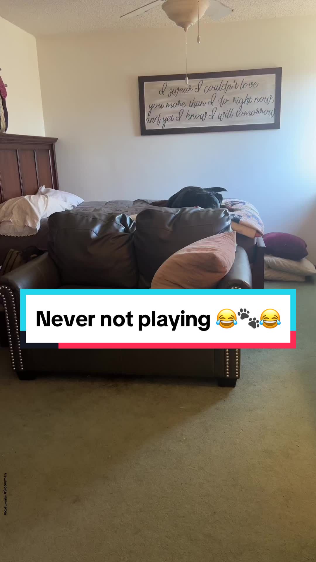 @Tiny Bear & Tiny Horse