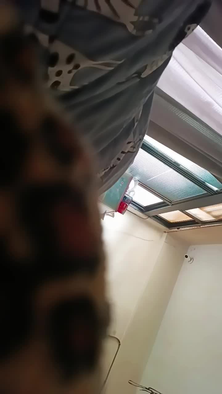 @🧜🏻&zwj;♀️ハイゴン ホスト🐬