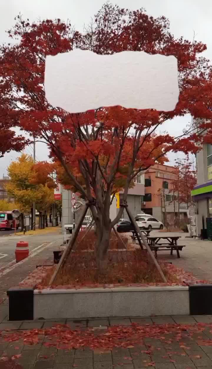 @HenZie  헨지 안띠야 🇮🇩🇳🇱