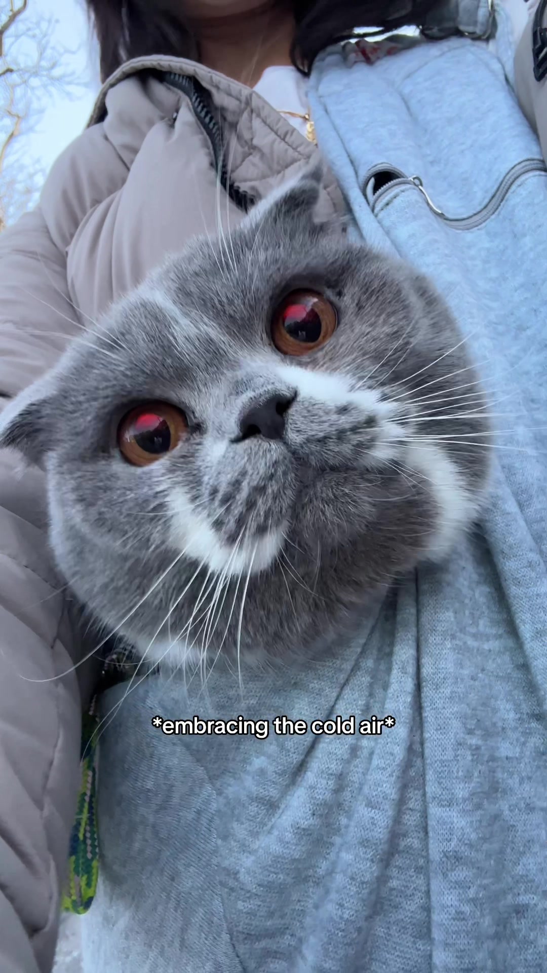 @Suki Purrs