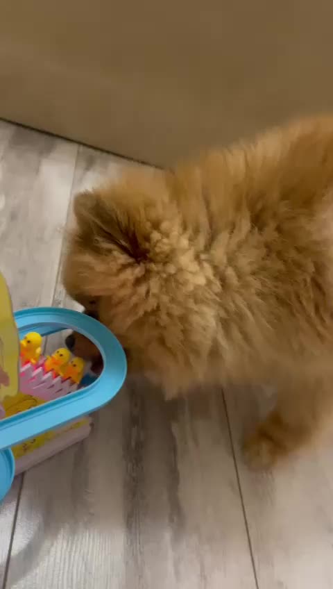 @СВЕТЛАНА ТЕКСТИЛЬ
