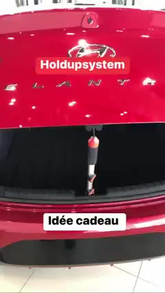 @Holdup System