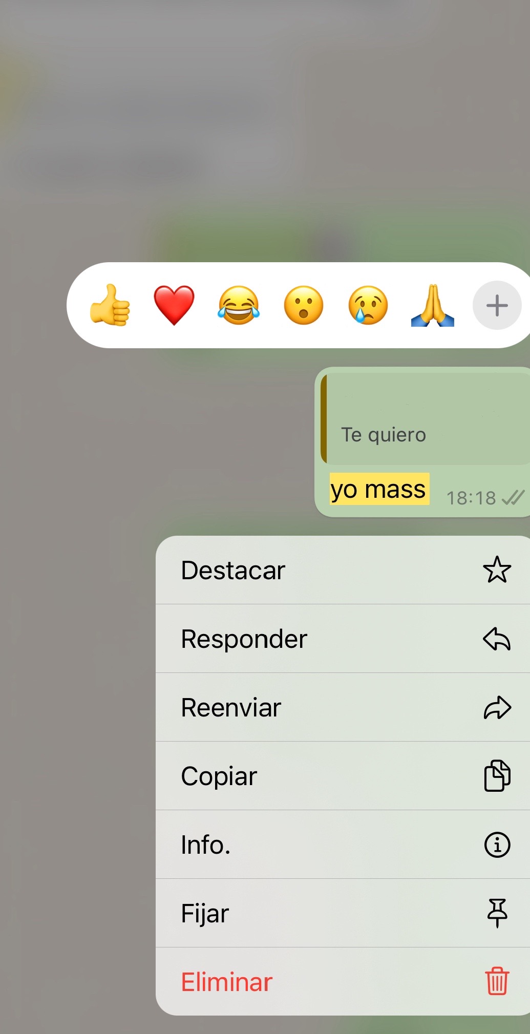 @gemma torres