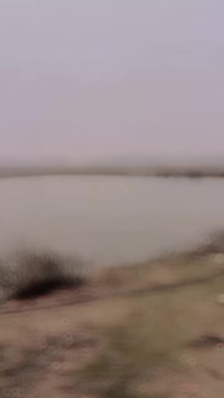 @rajput rana