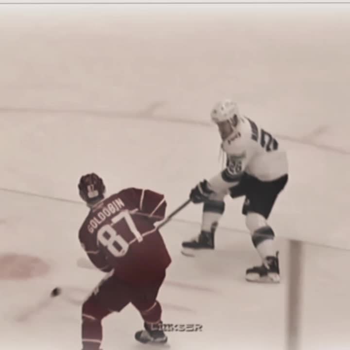 @🏒