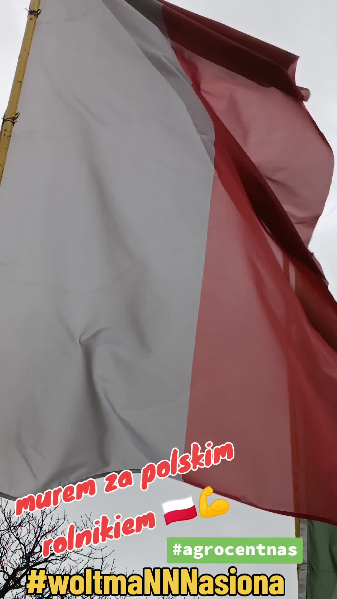 @WOLTMANNNASIONA
