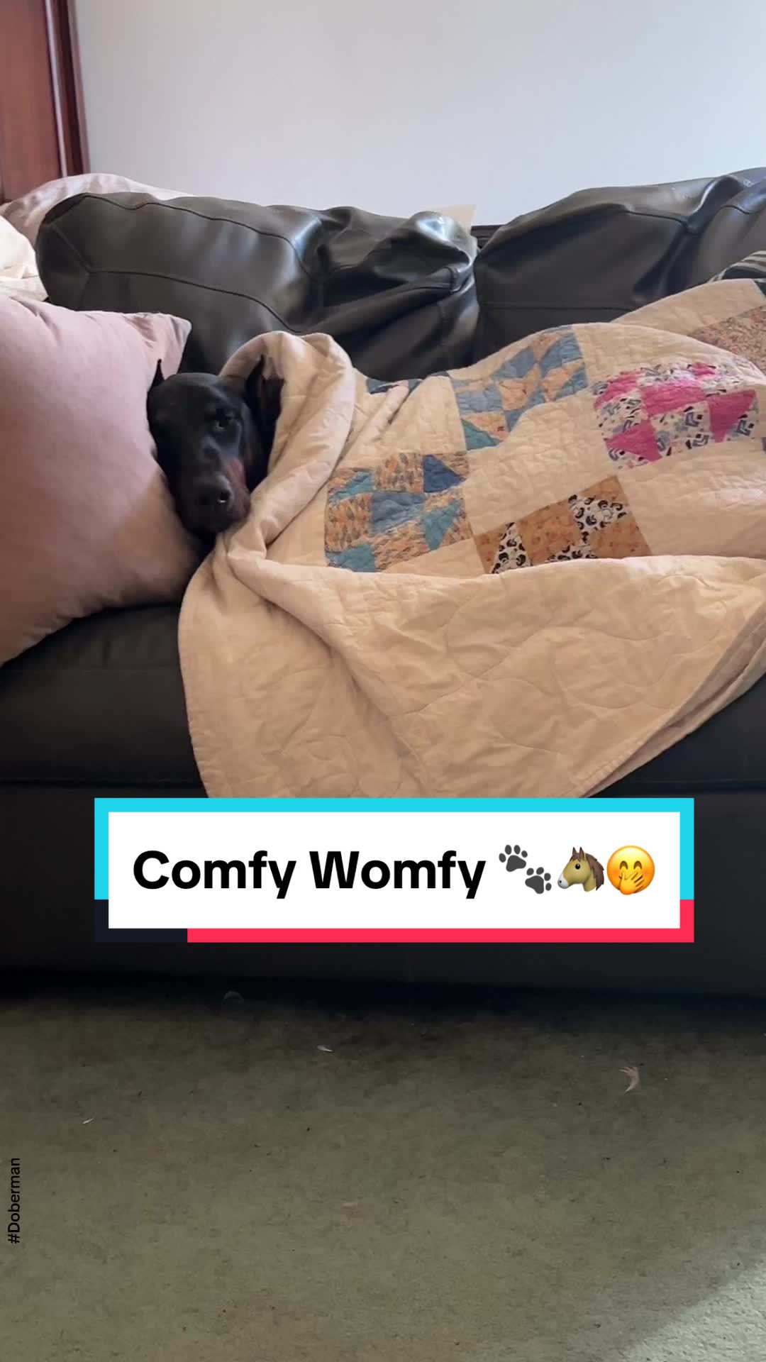 @Tiny Bear & Tiny Horse