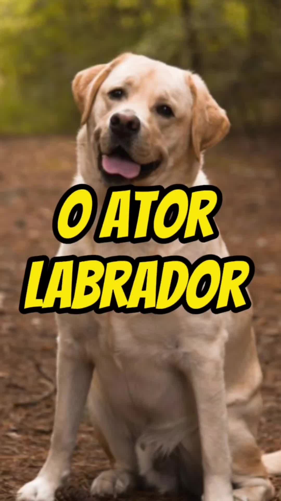 @Explore Aquii 🐾🐾✨️
