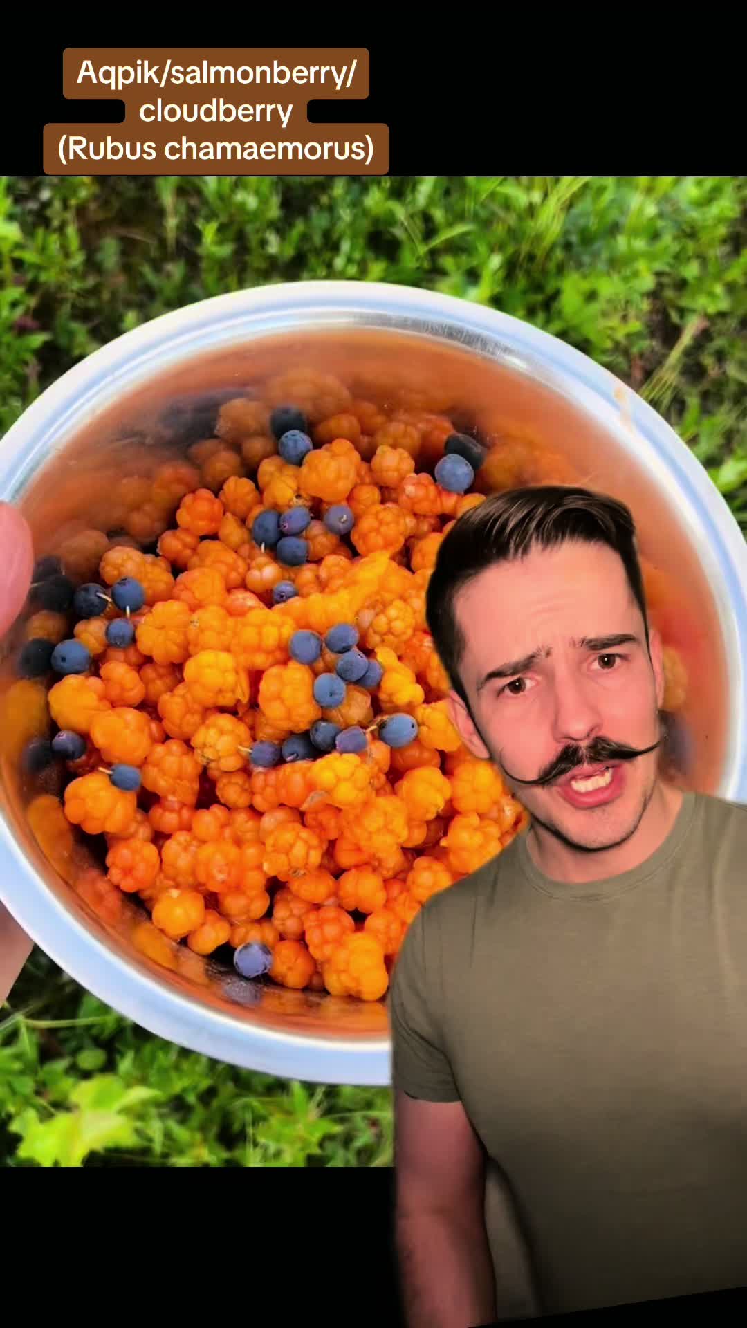 @thefrozenplantguy